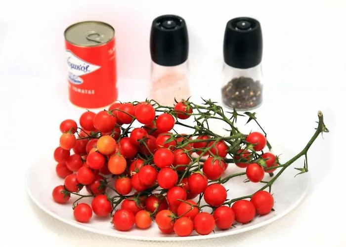 Dionyssos Cave House *